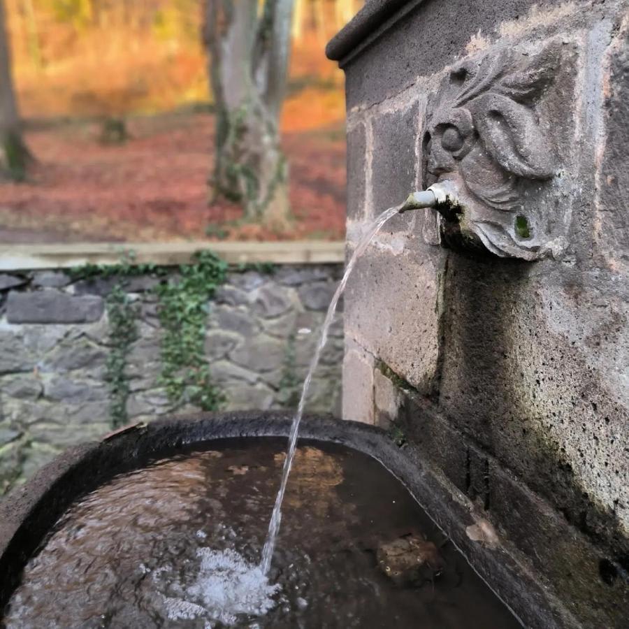 Gites Le Vieux Vinzelles Volvic Zewnętrze zdjęcie